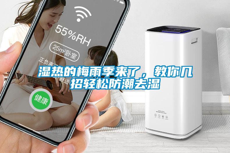 濕熱的梅雨季來了，教你幾招輕松防潮去濕
