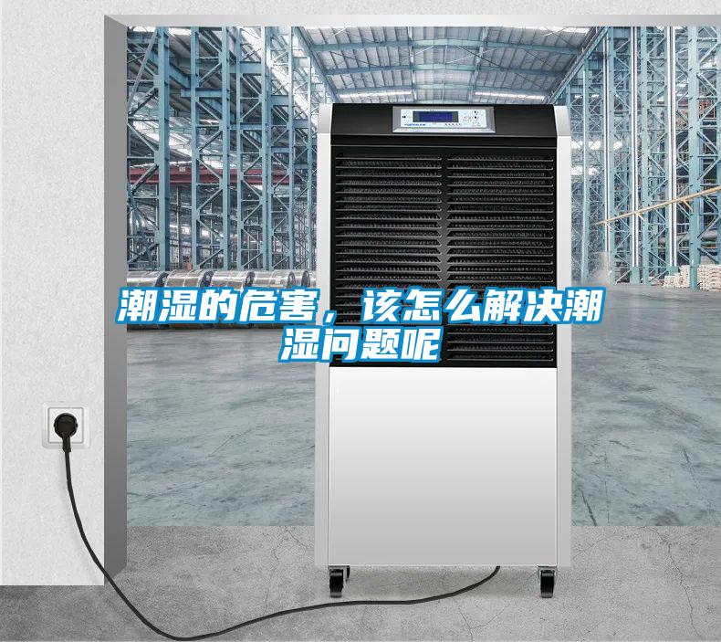 潮濕的危害，該怎么解決潮濕問(wèn)題呢
