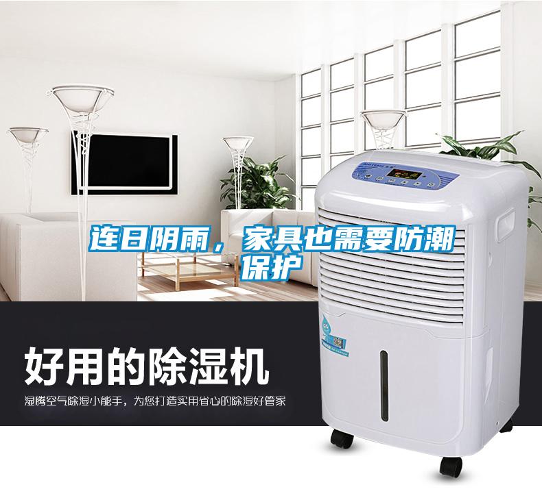 連日陰雨，家具也需要防潮保護(hù)