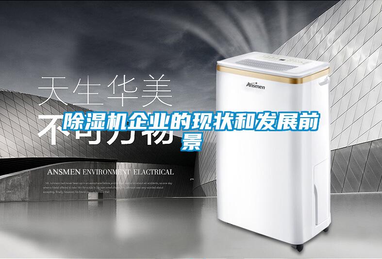 除濕機企業(yè)的現(xiàn)狀和發(fā)展前景