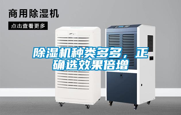 除濕機種類多多，正確選效果倍增
