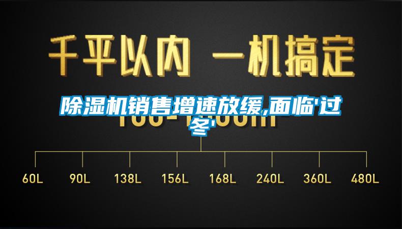 除濕機(jī)銷售增速放緩,面臨'過冬'