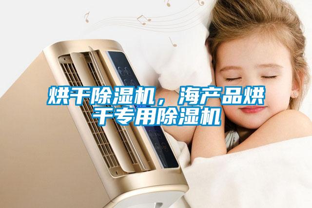 烘干除濕機，海產(chǎn)品烘干專用除濕機