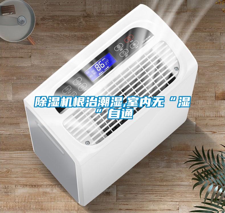 除濕機根治潮濕,室內無“濕”自通