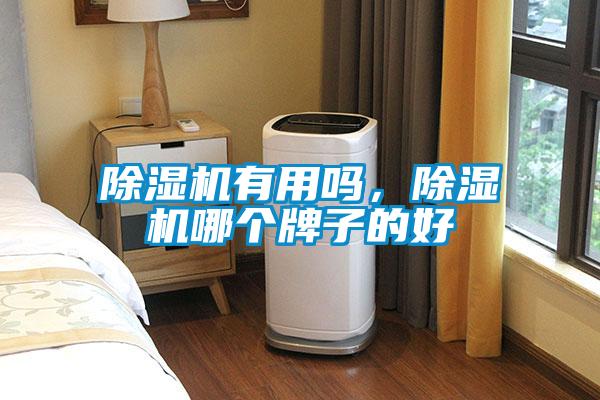 除濕機有用嗎，除濕機哪個牌子的好