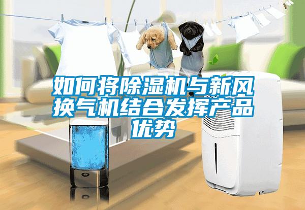 如何將除濕機與新風換氣機結合發揮產品優勢