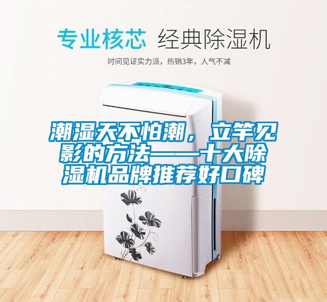 潮濕天不怕潮，立竿見影的方法——十大除濕機品牌推薦好口碑