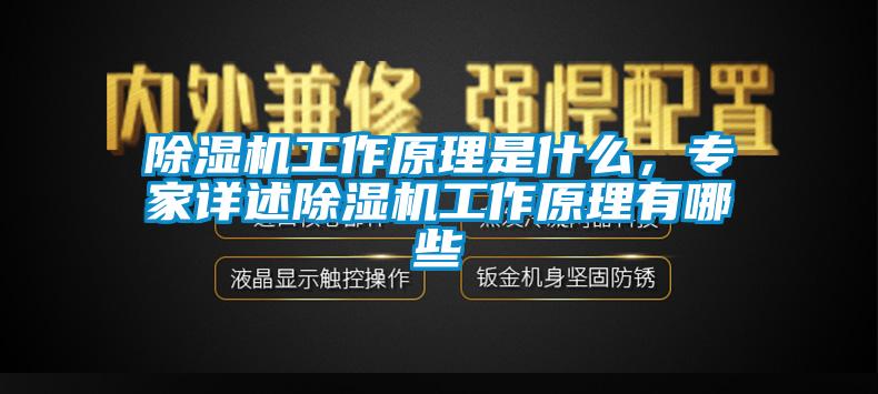 除濕機工作原理是什么，專家詳述除濕機工作原理有哪些