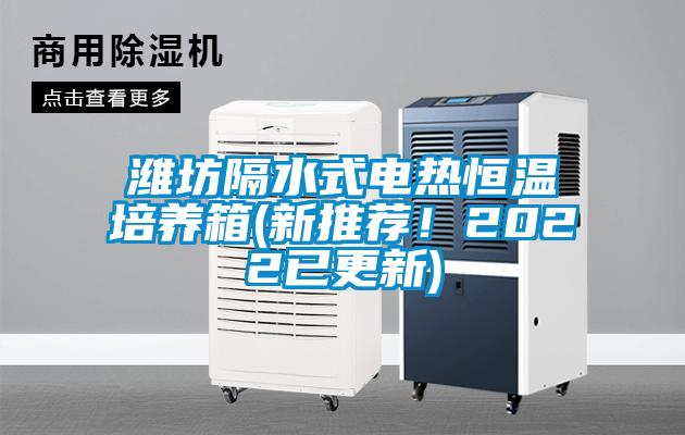 濰坊隔水式電熱恒溫培養箱(新推薦！2022已更新)