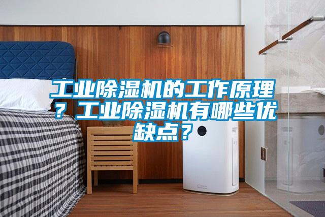 工業(yè)除濕機的工作原理？工業(yè)除濕機有哪些優(yōu)缺點？