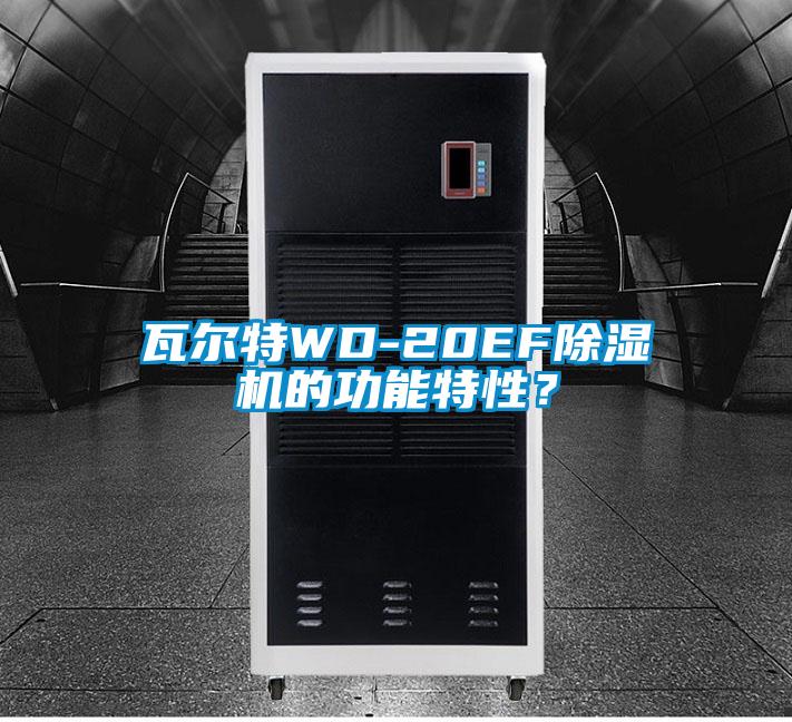 瓦爾特WD-20EF除濕機的功能特性？