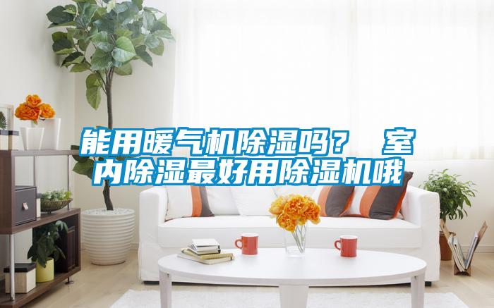 能用暖氣機除濕嗎？ 室內除濕最好用除濕機哦