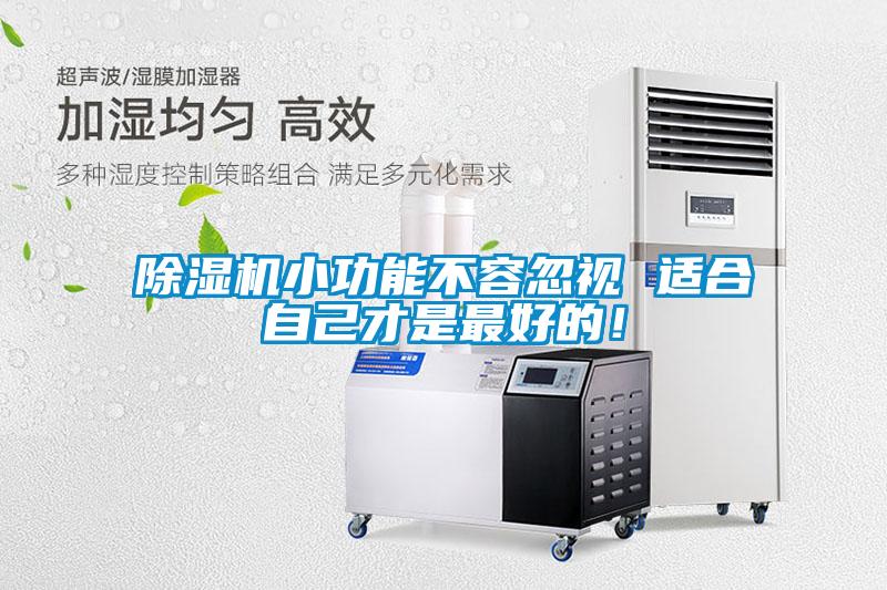 除濕機小功能不容忽視 適合自己才是最好的！