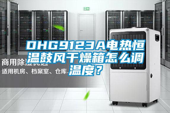 DHG9123A電熱恒溫鼓風干燥箱怎么調溫度？