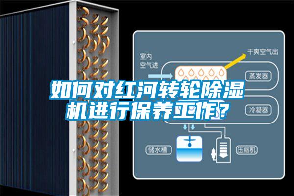 如何對紅河轉(zhuǎn)輪除濕機進行保養(yǎng)工作？
