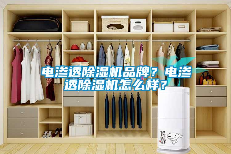 電滲透除濕機品牌？電滲透除濕機怎么樣？