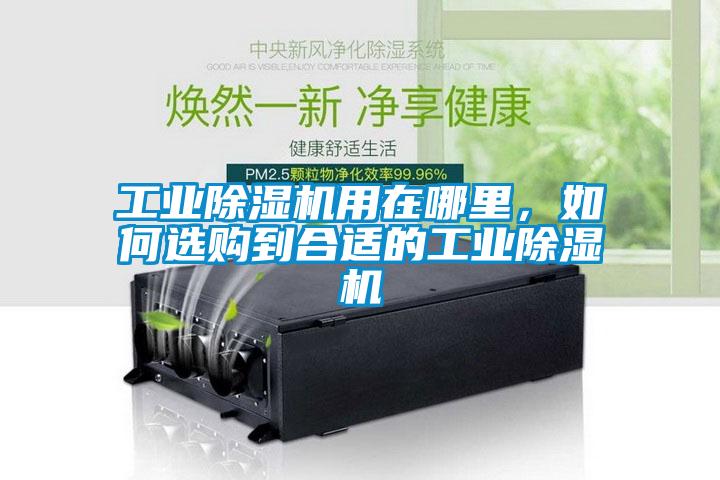 工業(yè)除濕機(jī)用在哪里，如何選購到合適的工業(yè)除濕機(jī)