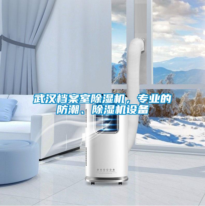 武漢檔案室除濕機(jī)，專業(yè)的防潮、除濕機(jī)設(shè)備