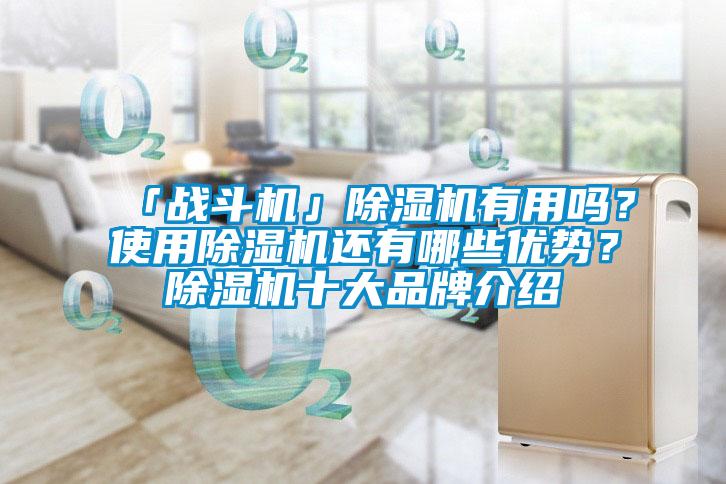 「戰(zhàn)斗機」除濕機有用嗎？使用除濕機還有哪些優(yōu)勢？除濕機十大品牌介紹