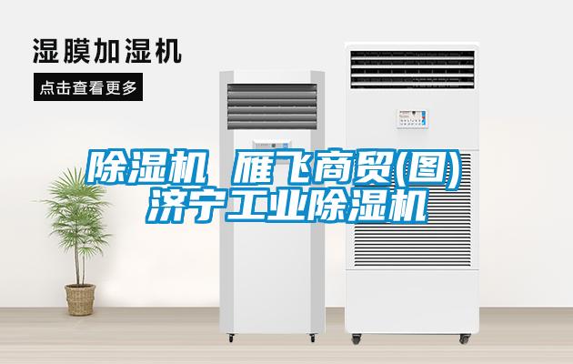 除濕機 雁飛商貿(圖) 濟寧工業(yè)除濕機