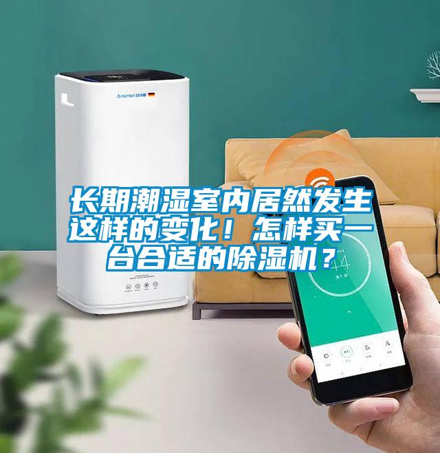 長期潮濕室內居然發生這樣的變化！怎樣買一臺合適的除濕機？