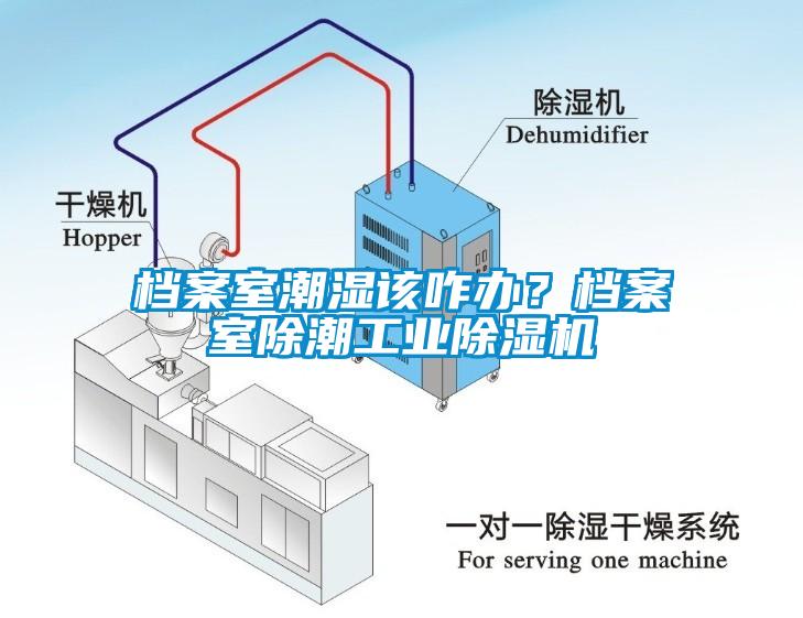 檔案室潮濕該咋辦？檔案室除潮工業除濕機