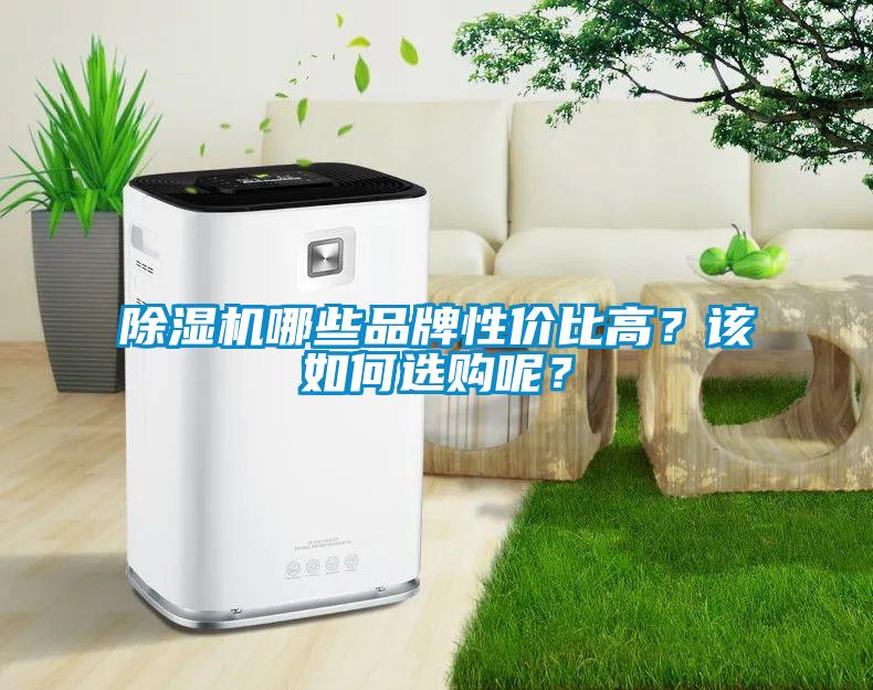 除濕機哪些品牌性價比高？該如何選購呢？