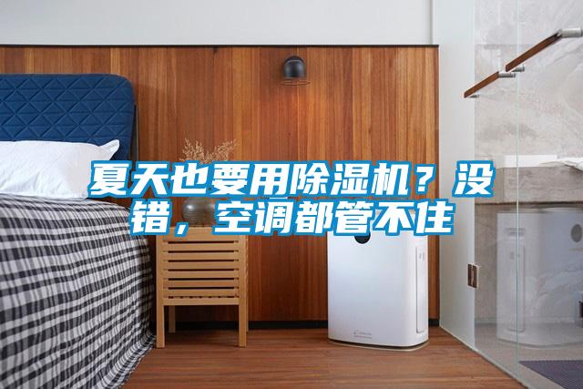 夏天也要用除濕機(jī)？沒錯，空調(diào)都管不住
