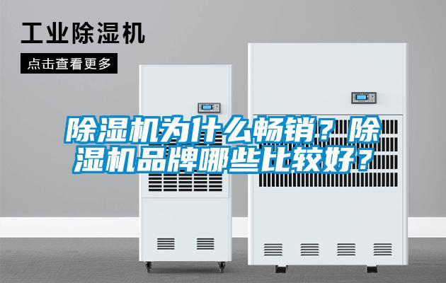 除濕機為什么暢銷？除濕機品牌哪些比較好？