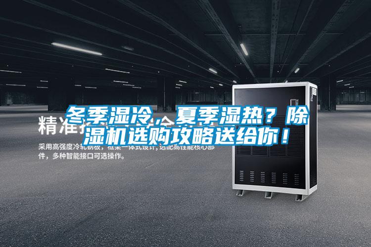 冬季濕冷，夏季濕熱？除濕機選購攻略送給你！