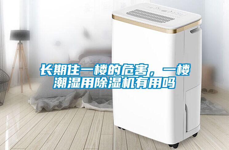 長期住一樓的危害，一樓潮濕用除濕機有用嗎