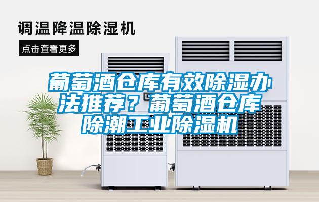 葡萄酒倉庫有效除濕辦法推薦？葡萄酒倉庫除潮工業除濕機
