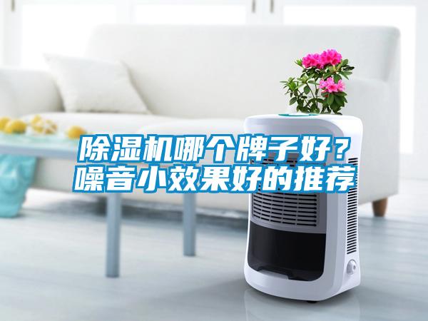 除濕機(jī)哪個牌子好？噪音小效果好的推薦