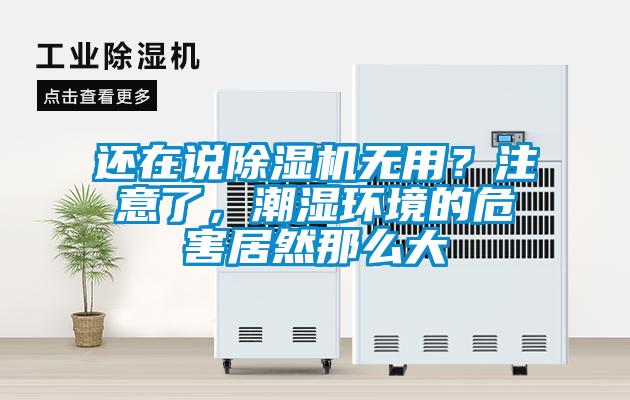 還在說除濕機無用？注意了，潮濕環境的危害居然那么大