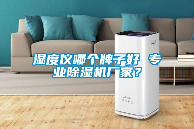 濕度儀哪個牌子好 專業除濕機廠家？