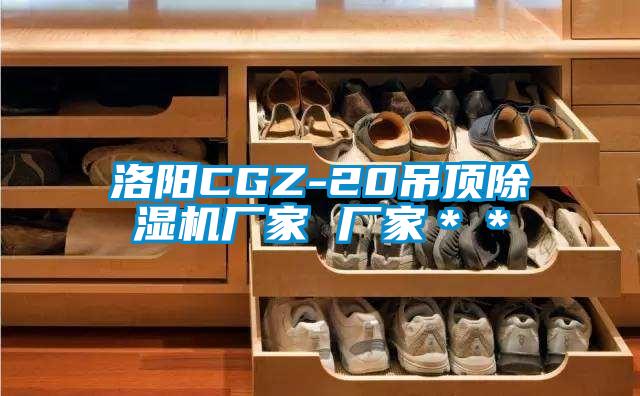 洛陽CGZ-20吊頂除濕機廠家 廠家＊＊