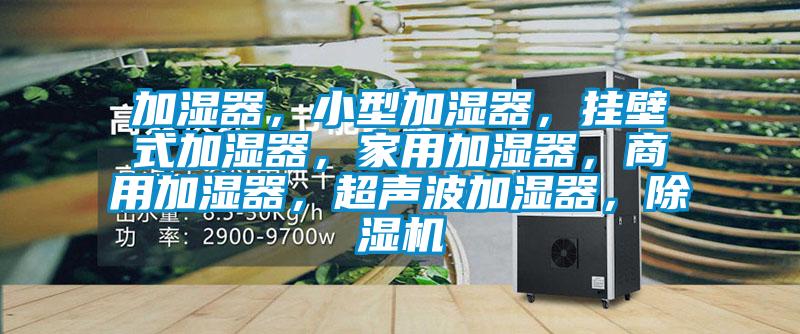 加濕器，小型加濕器，掛壁式加濕器，家用加濕器，商用加濕器，超聲波加濕器，除濕機(jī)