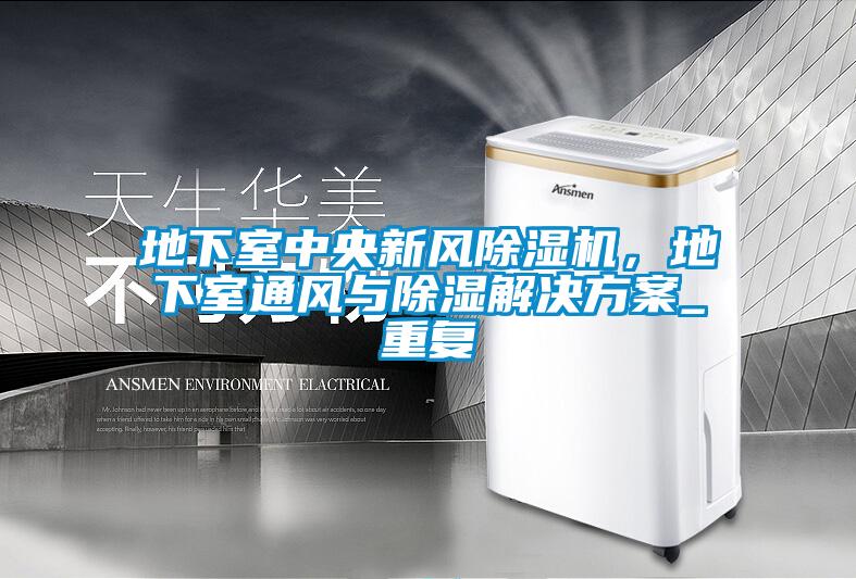 地下室中央新風除濕機，地下室通風與除濕解決方案_重復(fù)