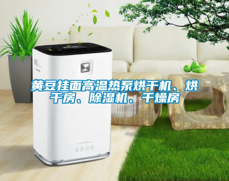 黃豆掛面高溫?zé)岜煤娓蓹C(jī)、烘干房、除濕機(jī)、干燥房