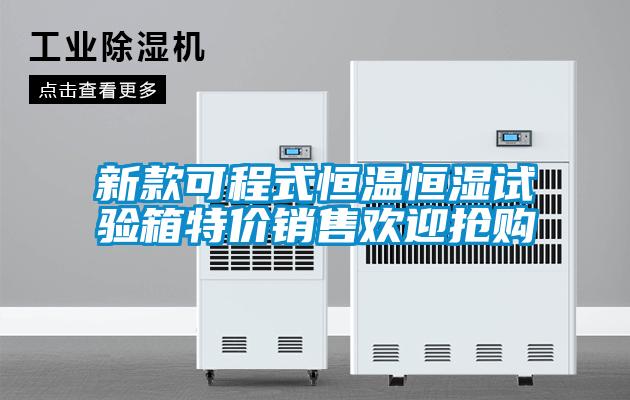 新款可程式恒溫恒濕試驗(yàn)箱特價銷售歡迎搶購