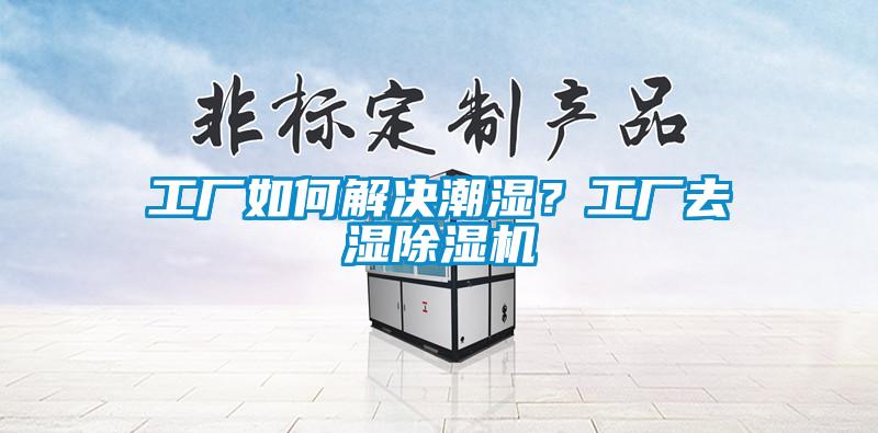 工廠如何解決潮濕？工廠去濕除濕機