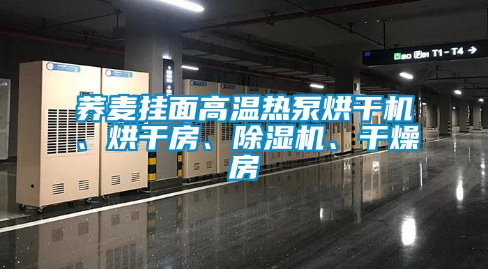 蕎麥掛面高溫?zé)岜煤娓蓹C(jī)、烘干房、除濕機(jī)、干燥房