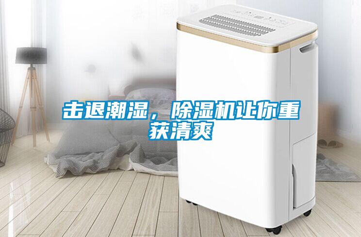 擊退潮濕，除濕機讓你重獲清爽