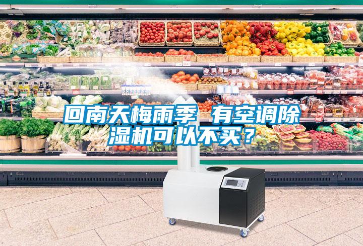 回南天梅雨季 有空調(diào)除濕機可以不買？