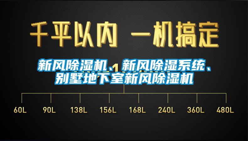 新風(fēng)除濕機(jī)、新風(fēng)除濕系統(tǒng)、別墅地下室新風(fēng)除濕機(jī)