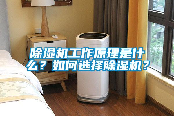 除濕機工作原理是什么？如何選擇除濕機？