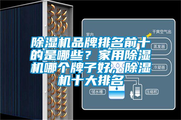 除濕機品牌排名前十的是哪些？家用除濕機哪個牌子好，除濕機十大排名