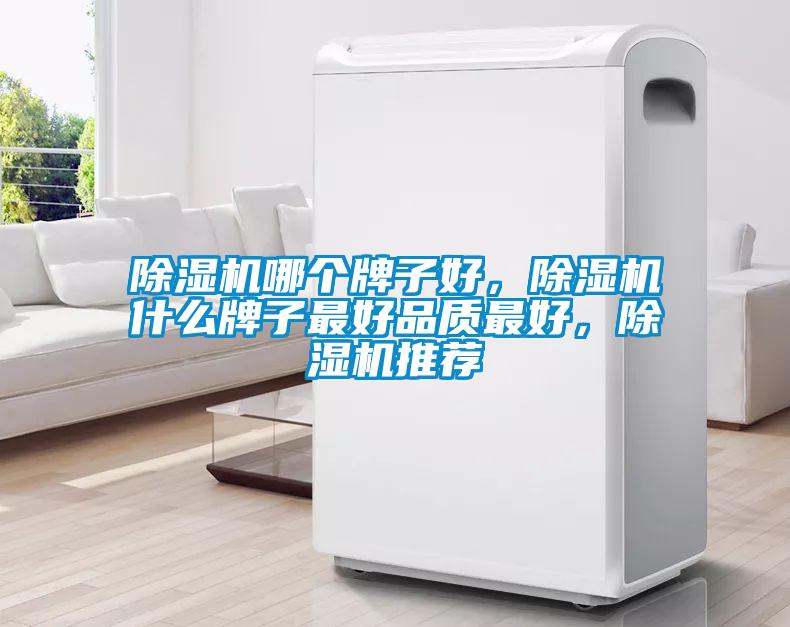除濕機(jī)哪個牌子好，除濕機(jī)什么牌子最好品質(zhì)最好，除濕機(jī)推薦