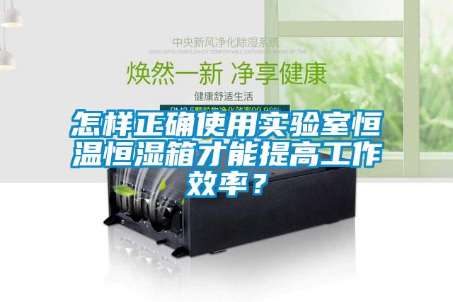 怎樣正確使用實(shí)驗(yàn)室恒溫恒濕箱才能提高工作效率？