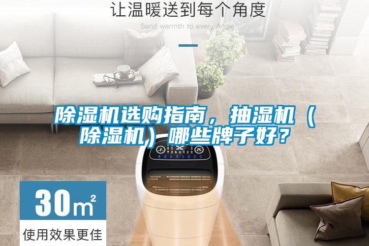 除濕機選購指南，抽濕機（除濕機）哪些牌子好？